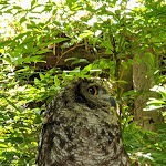 Photo n°2 de l'avis de Alessio.i fait le 23/07/2021 à 22:05 sur le  Parc Gallorose à Loc. Cedrino