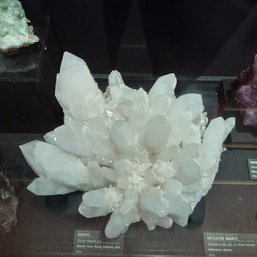 Museum «Texas Memorial Museum», reviews and photos, 2400 Trinity St, Austin, TX 78705, USA