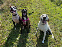 Urban Tailz - Photo 8 - Car repair in Chicago, IL, Chicago