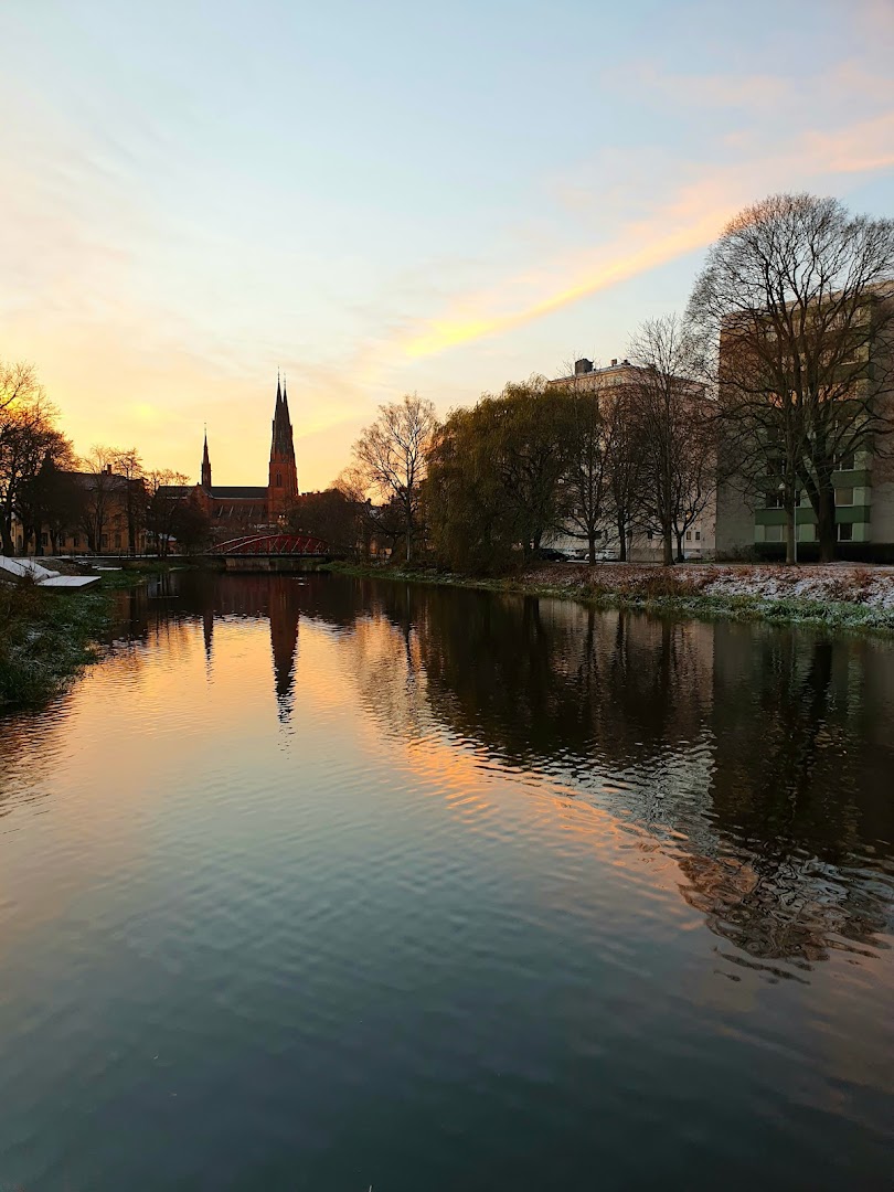 Uppsala, İsveç
