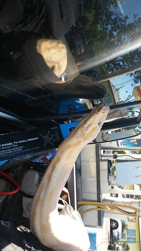 Car Wash «Car Wash Emporium», reviews and photos, 13820 W Dixie Hwy, North Miami, FL 33161, USA