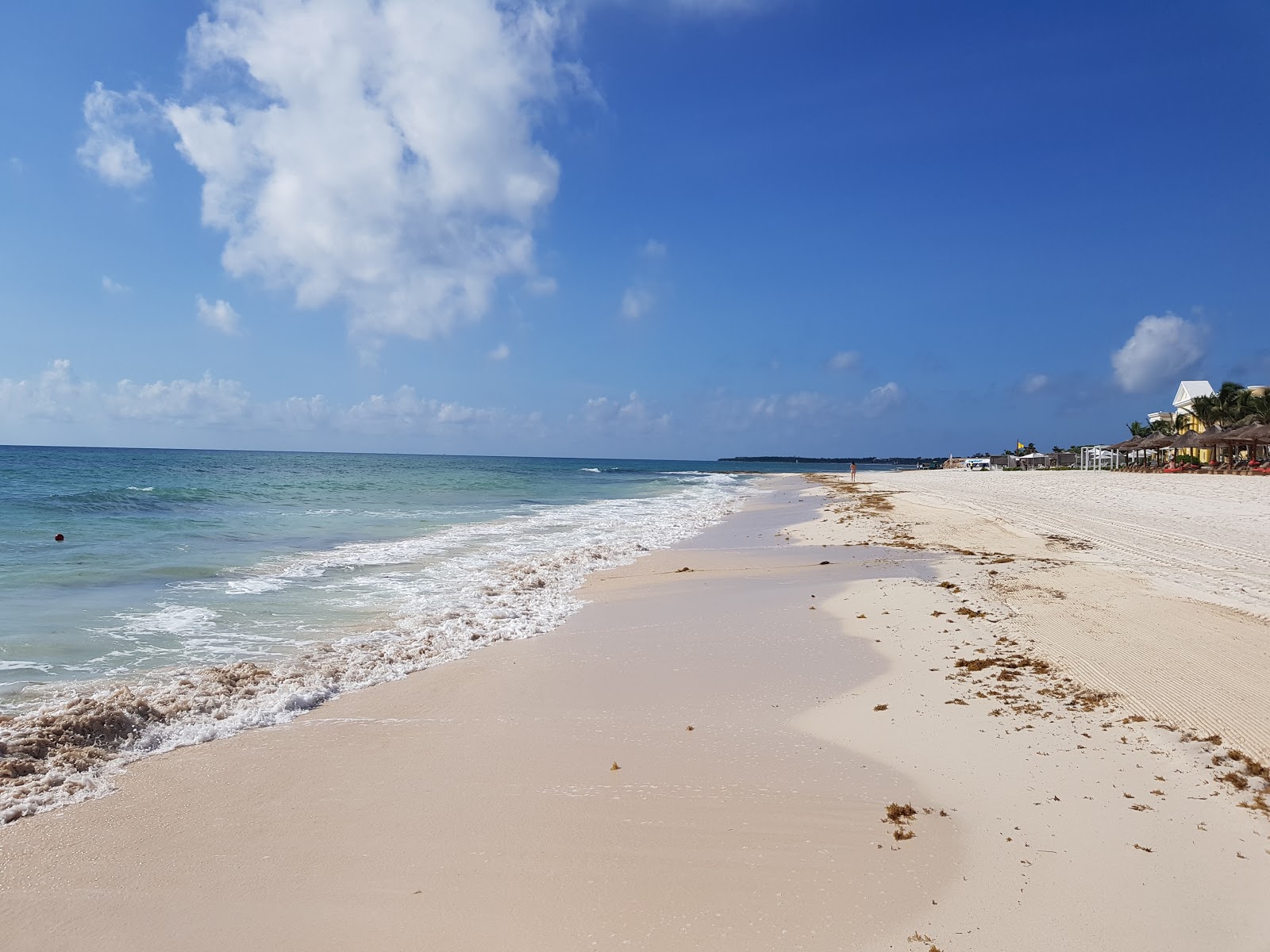 Foto de Playa Paraíso con recta y larga