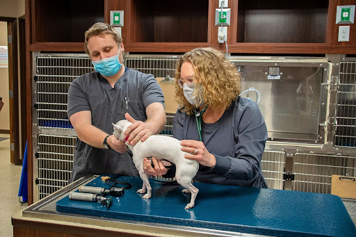 Barker Animal Hospital image