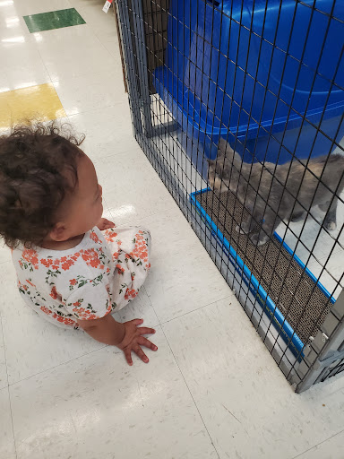 Pet Supply Store «Pet Supplies Plus», reviews and photos, 1240 Seminole Trail, Charlottesville, VA 22901, USA