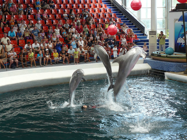 Делфинариум Варна