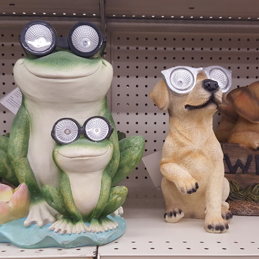 Discount Store «Big Lots», reviews and photos, 3959 N Oracle Rd, Tucson, AZ 85705, USA