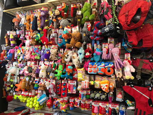 Pet Supply Store «Pet Island», reviews and photos, 10-50 Jackson Ave, Long Island City, NY 11101, USA