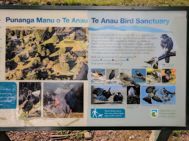 Reviews of Punanga Manu o Te Anau / Te Anau Bird Sanctuary in Te Anau - Other
