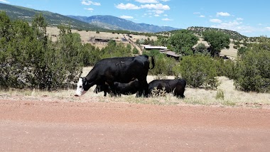 Everhart Ranch LLC