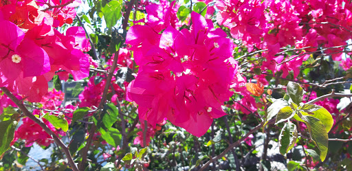 Tourist Attraction «IMAG History & Science Center (formerly Imaginarium Science Center)», reviews and photos, 2000 Cranford Ave, Fort Myers, FL 33916, USA