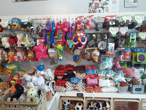 Pet Store «Pawsh Dog Boutique», reviews and photos, 31 Gloucester St, Boston, MA 02115, USA
