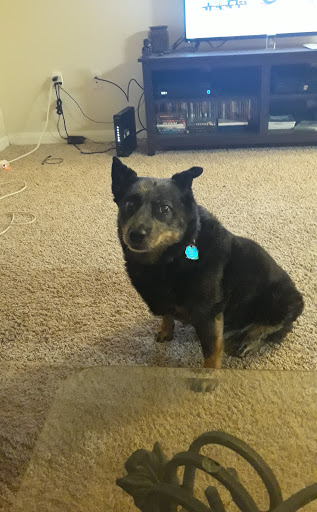 Boxing Gym «Katy Boxing Club», reviews and photos, 18703 W Little York Rd suite 102, Katy, TX 77449, USA