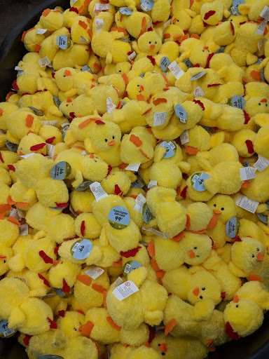 Department Store «Rural King», reviews and photos, 1650 S Main St, Madisonville, KY 42431, USA