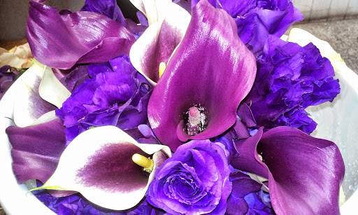 Florist «Westgate Flower & Plant Shop», reviews and photos, 841 S Oak Park Ave, Oak Park, IL 60304, USA