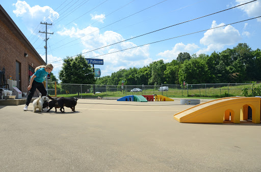 Pet Boarding Service «Pet Palace», reviews and photos, 2803 Trough Springs Rd, Clarksville, TN 37043, USA