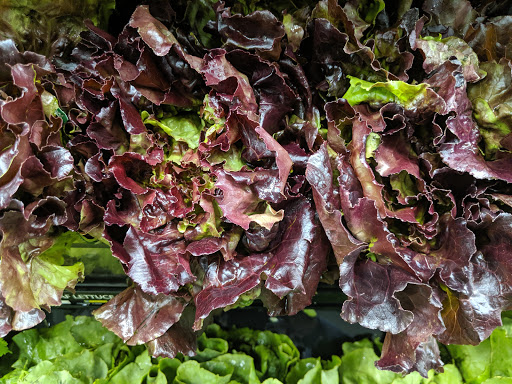 Grocery Store «Food Lion», reviews and photos, 136 Cedar Grove Rd, Ruckersville, VA 22968, USA