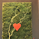 Photo n°9 de l'avis de Andra. fait le 27/01/2024 à 05:07 sur le  Le Stagioni à Orio al Serio