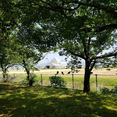 三田川中央公園多目的広場