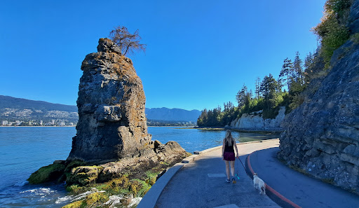 Stanley Park, Stanley Park Dr, Vancouver, BC