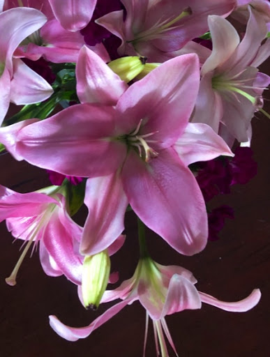 Florist «Baseline Flower Growers», reviews and photos, 3801 E Baseline Rd, Phoenix, AZ 85042, USA