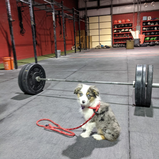 Gym «CrossFit Rappahannock», reviews and photos, 20 Synan Rd #105, Fredericksburg, VA 22405, USA