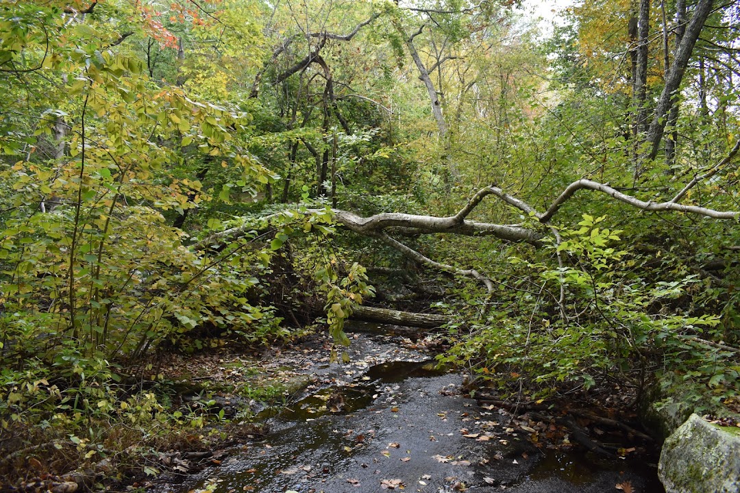 Ben Utter Trailhead