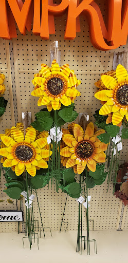 Craft Store «Hobby Lobby», reviews and photos, 5163 Hinkleville Rd, Paducah, KY 42001, USA