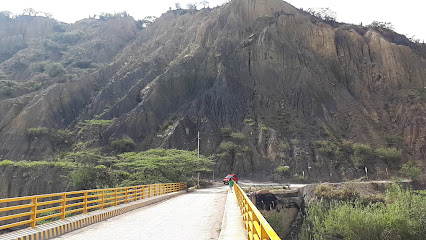 Puente Pinzón