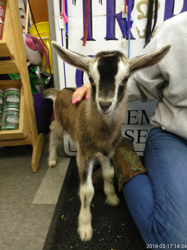 Pet Supply Store «Marvin Grain & Pet Supply», reviews and photos, 31 Cove Rd, South Dartmouth, MA 02748, USA