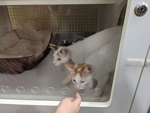 Pet Supply Store «Petco Animal Supplies», reviews and photos, 1310 Tingle Cir E b, Mobile, AL 36606, USA