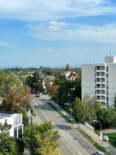 Cat accommodation Mannheim