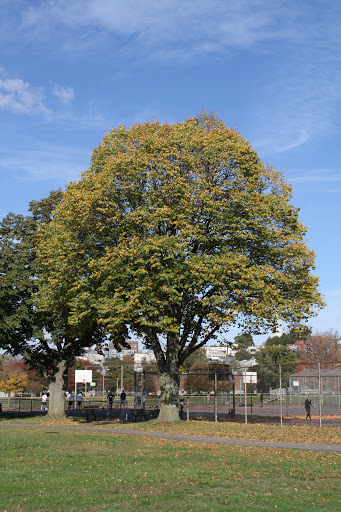 Park «Joe Moakley Park», reviews and photos, 1005 Columbia Road, Boston, MA 02127, USA