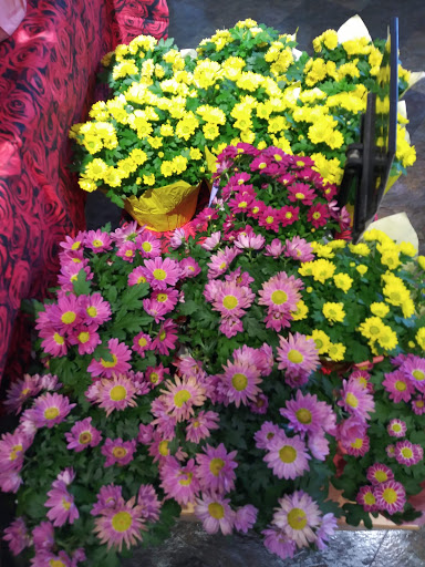 Grocery Store «Super Stop & Shop», reviews and photos, 1391 Main St, Willimantic, CT 06226, USA