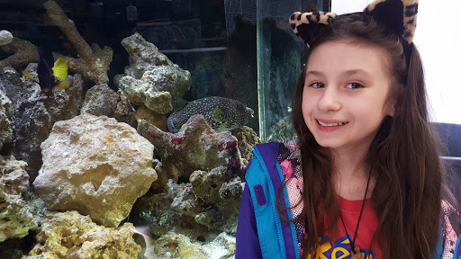 Pet Store «WorldWide Fish & Pets», reviews and photos, 61 Amity Rd, New Haven, CT 06515, USA