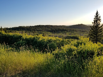 Lookout Point