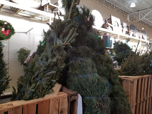 Home Improvement Store «Menards», reviews and photos, 4501 W North Ave, Chicago, IL 60639, USA