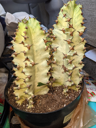 Home Improvement Store «The Home Depot», reviews and photos, 400 Commerce Blvd, Fairless Hills, PA 19030, USA