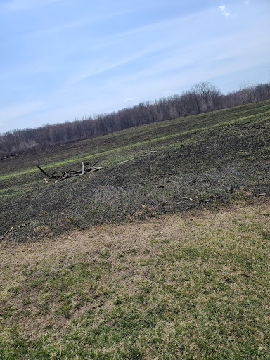 Golf Course «Lyon Oaks Golf Club», reviews and photos, 52251 Pontiac Trail, Wixom, MI 48393, USA