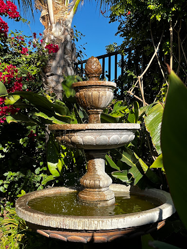 El Unico image
