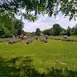 Sunshine Acres Lavender Farm