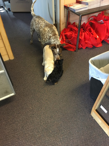 Roofing Contractor «Total Roofing», reviews and photos, 6125 Stadia Ct, Colorado Springs, CO 80915, USA