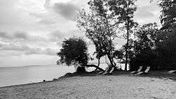 Photo de Badestelle Klink avec un rivage spacieux