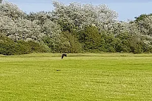 Bulverhythe Recreation Ground image