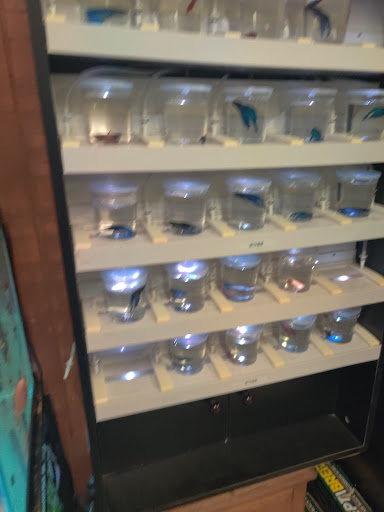 Pet Supply Store «Pet Bazaar», reviews and photos, 490 FL-436, Casselberry, FL 32707, USA