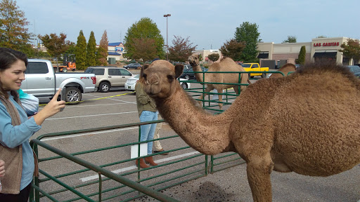 Home Improvement Store «The Home Depot», reviews and photos, 2710 Legends Pkwy, Prattville, AL 36066, USA