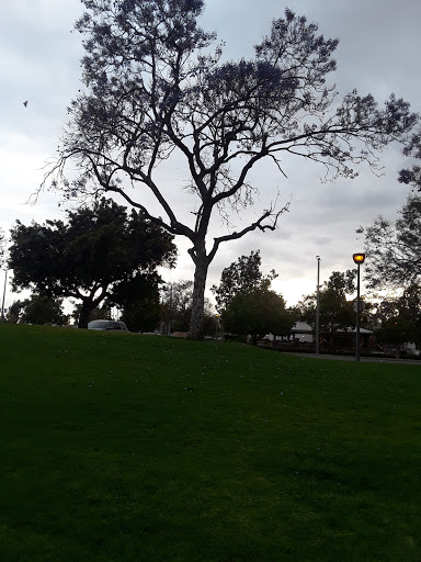 Park «Cerritos Park East», reviews and photos, 13234 E 166th St, Cerritos, CA 90703, USA