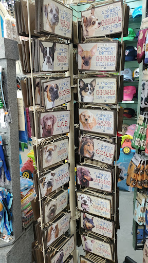 Gift Shop «Ocean Waves Gift Shop & Bike Rentals», reviews and photos, 3212 Atlantic Ave, Virginia Beach, VA 23451, USA