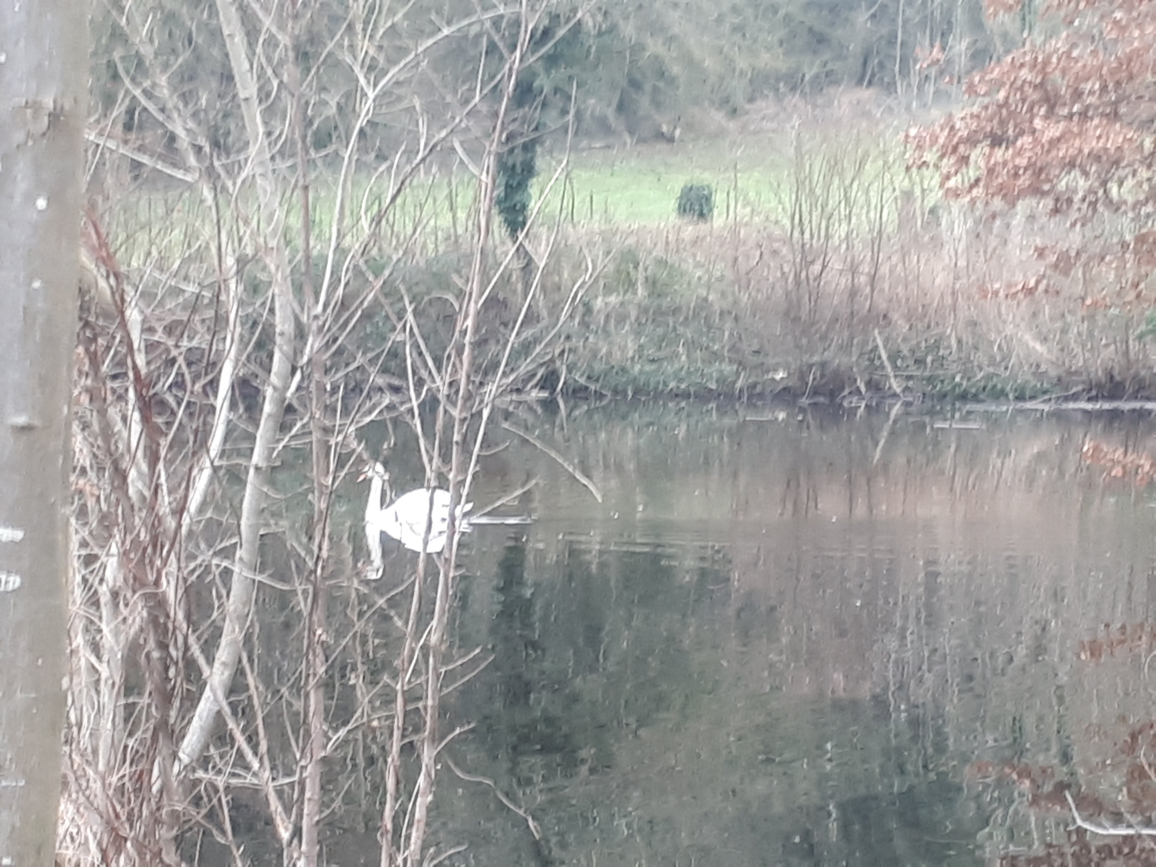 Photo n° 9 de l'avis de Magali.e fait le 07/01/2018 à 16:08