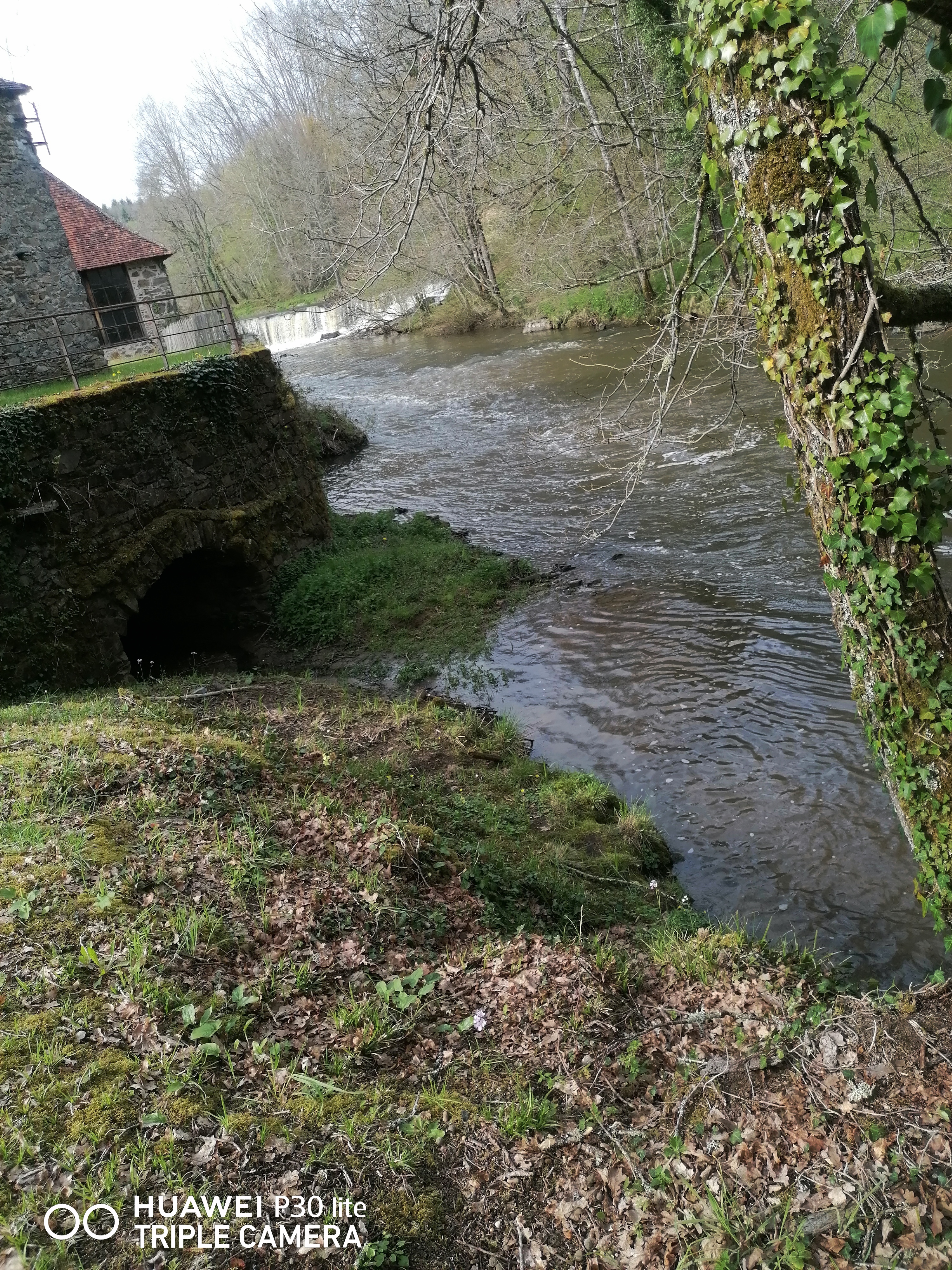 Photo n° 5 de l'avis de Nathgauvin.a fait le 28/04/2023 à 06:42