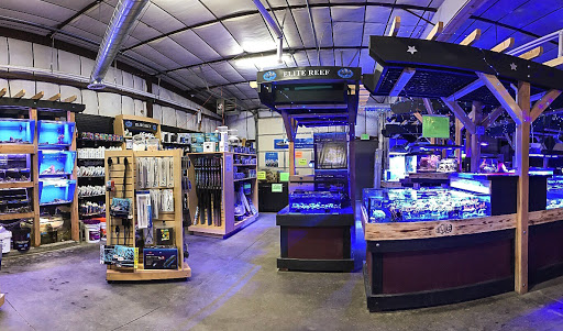 Tropical Fish Store «Elite Reef», reviews and photos, 8410 Wadsworth Blvd F, Arvada, CO 80003, USA